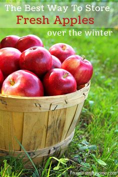 the best way to store fresh apples over the winter