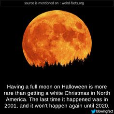 Halloween Rules, Full Moon Halloween, Moon Facts, Moon Halloween, Halloween Queen, A White Christmas, Moon Painting, Sun Moon Stars, Halloween 2020