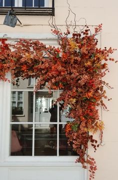 an ivy covered window frame in front of a building