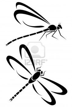 two dragonflys flying in the air with their wings spread out and facing each other