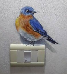 a blue bird is sitting on top of a light switch cover that has a drawing of an orange and blue bird on it