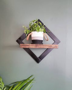 a potted plant sitting on top of a wooden shelf