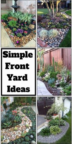 several different types of plants and rocks in a garden with the words simple front yard ideas