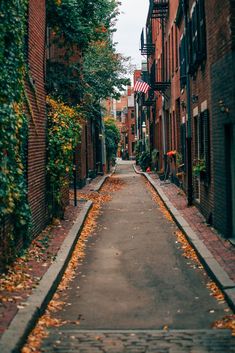 an alley way with brick buildings on both sides and trees lining the street in autumn