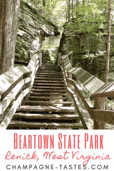 the stairs leading to beartown state park in pennsylvania with text overlaying it