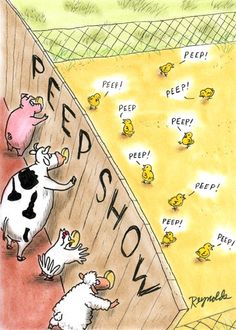 a cartoon drawing of chickens and cows on a ramp with the words feed show written in it