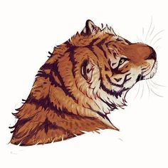 a drawing of a tiger's head with its mouth open