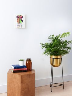 a potted plant sitting on top of a wooden table