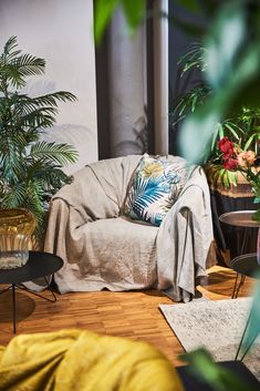 a living room filled with lots of plants and furniture