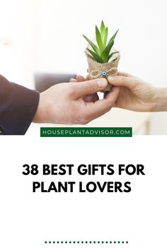 two hands holding a small potted plant with the words, 28 best gifts for plant lovers