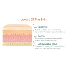 𝑀.𝑀. 𝒮𝓀𝒾𝓃 🖤 on Instagram: “🌸Skin 101: Layers of the Skin🌸 •Epidermis- the outermost layer of the skin. Is a thin layer of skin, the most superficial, the layer you…” Layers Of The Skin, Skin Moles, Subcutaneous Tissue, Turmeric Health, Types Of Skin