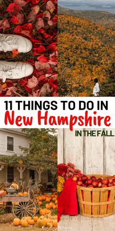 pumpkins and fall foliage with the words 11 things to do in new hampshire in the fall