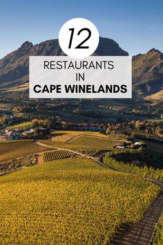 an aerial view of the vineyards and mountains with text overlay that reads 12 restaurants in cape winelands