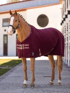 a brown horse standing on top of a sidewalk next to a white building and wearing a red blanket