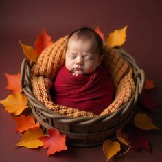 a newborn baby wrapped in a red blanket sleeping in a basket with autumn leaves around it