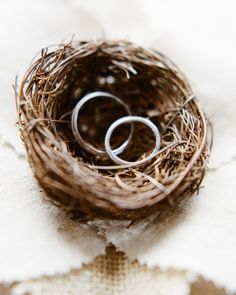 two wedding rings in a bird's nest on top of a table cloth photo