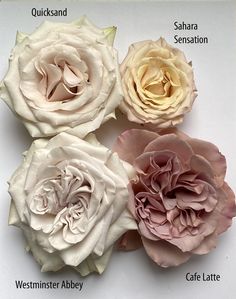 four different types of flowers are shown in this image, with the names below them