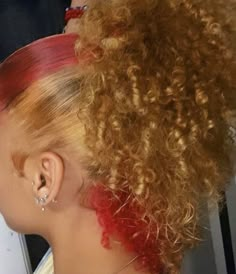 Hair Colors Black Women Natural, Hair Dye Ideas For Curly Hair, Hair Stripes, Skunk Stripe, Girl Hair Colors, Peekaboo Hair, Ginger Hair Color, Dyed Hair Inspiration, Dyed Natural Hair