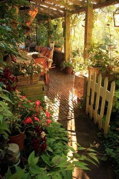 an outdoor patio with lots of plants and flowers in the sun shining on the ground