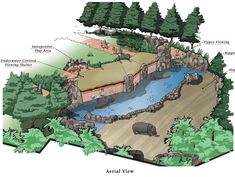 an illustrated view of the zoo's natural habitat, including water and trees with information about its surroundings