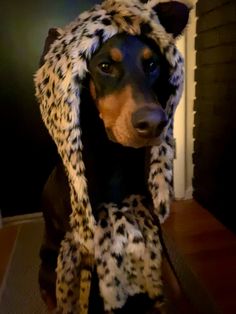 a dog wearing a leopard print hat and scarf on top of it's head