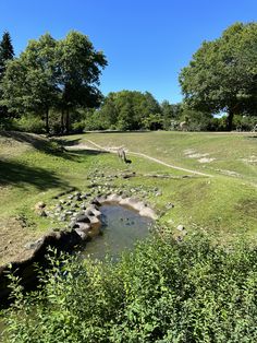 a small stream running through a lush green field