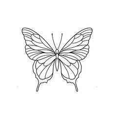 a black and white drawing of a butterfly