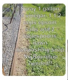 an image of a garden with text that reads spray gallon of vinegar 12 cups epsom salts and 2 tablespoos drawn dishwashing soap no roundup needed