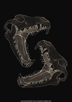 an animal skeleton is shown with the letter s in it's mouth and teeth