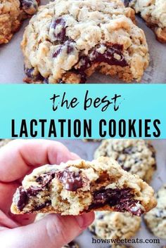 Best Lactation Cookies, Breastfeeding Foods, Lactation Recipes, Lactation Cookies, Cookies Recipe, Freezer Meals