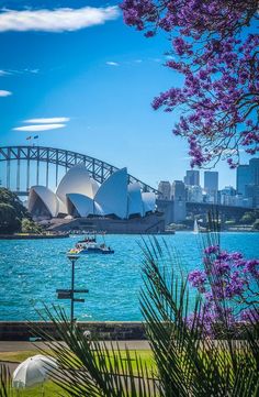 view of sydney opera house from botanic gardens Australian Aesthetic, Australian Scenery, Coastal Houses, Scenery Aesthetic, Harbour Bridge