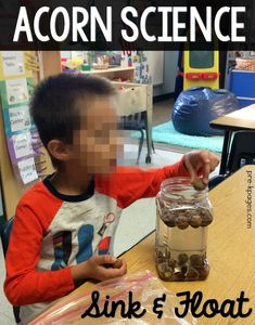 Acorn Life Cycle Preschool, Acorns Preschool Activities, Autumn Science Preschool, Acorn Preschool, Fall Science Center Preschool, Acorn Activities For Toddlers, Squirrel Theme Preschool, Acorn Preschool Activities, Squirrel Projects For Preschoolers