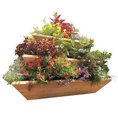 a wooden planter filled with lots of flowers