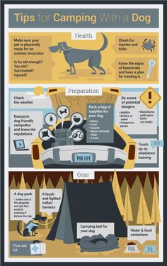 an info poster showing how to use camping with a dog