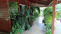 many plants are growing on the side of a building with wood sidings and tile flooring