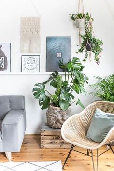 a living room filled with lots of plants next to a wall mounted planter on the wall