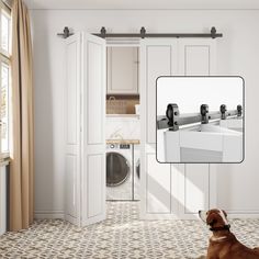 a dog sitting on the floor in front of a washer and dryer