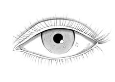 an eye with long eyelashes is shown in black and white, as if it were drawn on