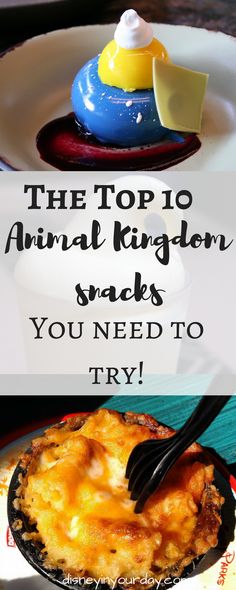 the top 10 animal kingdom snacks you need to try