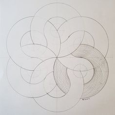 an abstract drawing with lines and circles in the shape of a flower on a sheet of paper