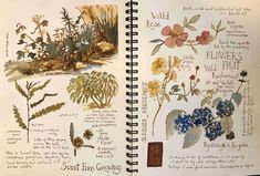 an open notebook with flowers and plants on it