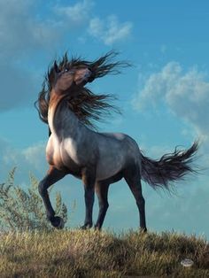 a black and white photo of a horse with its hair blowing in the wind on top of a hill