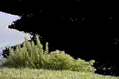 an elephant standing on top of a grass covered hill next to trees and bushes in the background