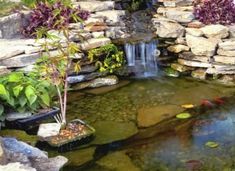 an outdoor pond with rocks and water features fish in it, surrounded by greenery