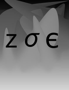 the word zooe written in black and white on a gray background with abstract shapes