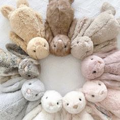 a group of stuffed animals arranged in a circle