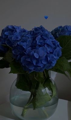 blue flowers are in a clear vase with water