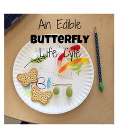 an edible butterfly life cycle on a paper plate next to a crayon pencil