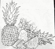 pineapples and other tropical fruits are shown in this black and white drawing