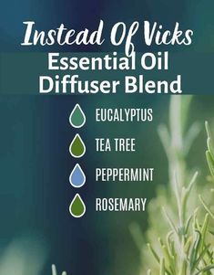 Eucalyptus Tea, Essential Oil Diffuser Blends, Oil Diffuser Blends, Aromatherapy Oils, Essential Oil Diffuser, Oil Diffuser, Tea Tree, Natural Remedies